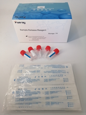 3ml ontruim Één Stappcr Snelle Reagens van Nucleic Zuurversie van de Testuitrusting voor covid-19