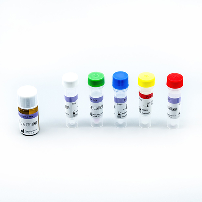 Snelle Versterkingsrechts PCR Testuitrustingen in real time 48 Test/Doos