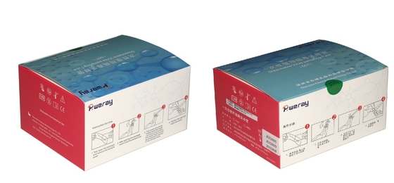 Virale het Vervoermedia Kit Inactivation Non Inactivation Sampling van 2ml VTM