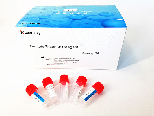 Neusspecimenpcr Opsporings Viraal RNA Mini Kit With ISO 13485